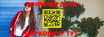 индика Волгодонск