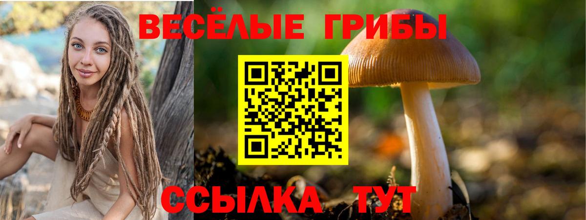 Галлюциногенные грибы MAGIC MUSHROOMS  Вход с VPN  Мелеуз 
